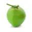 Picture of Coconut Green